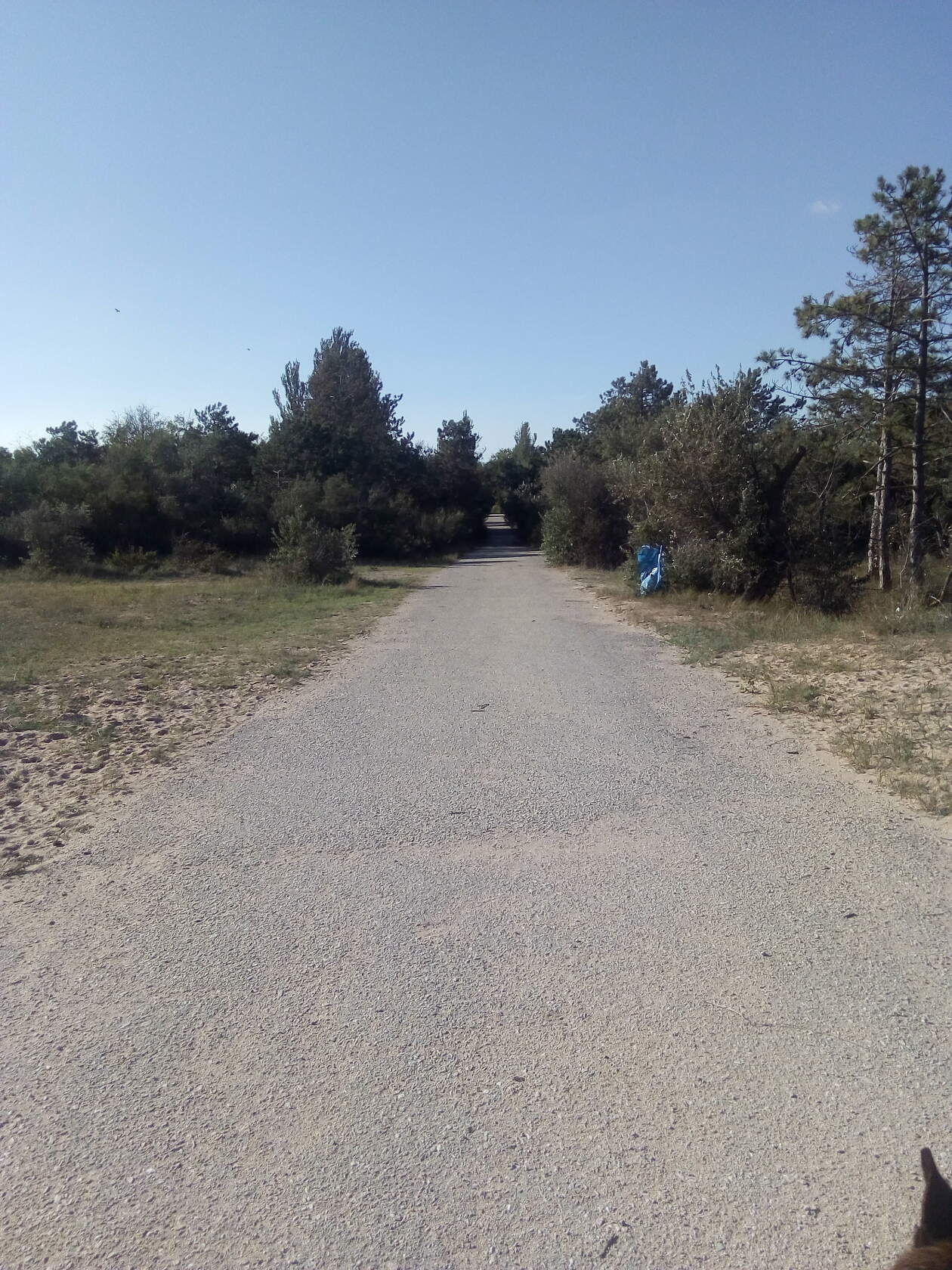 9.09. road to sea 8.jpg